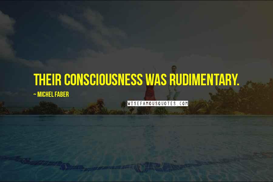 Michel Faber Quotes: Their consciousness was rudimentary.