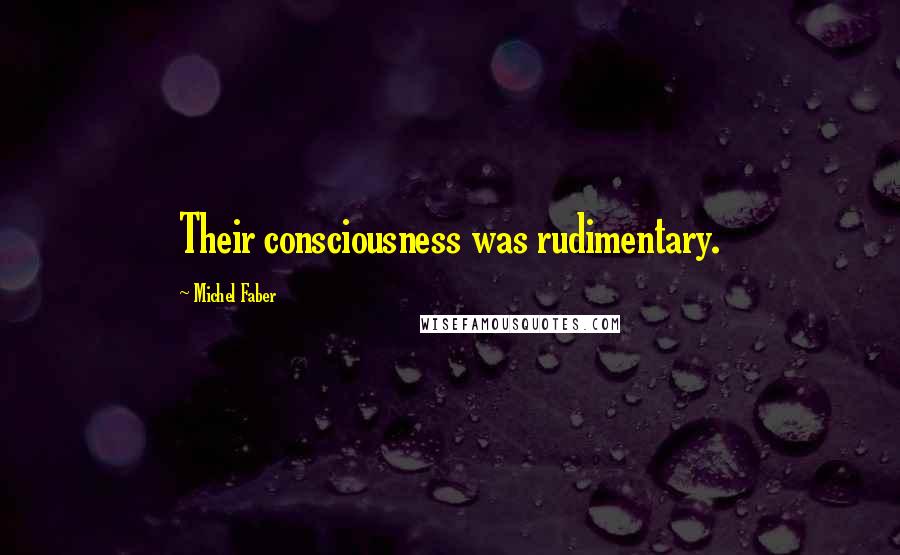 Michel Faber Quotes: Their consciousness was rudimentary.