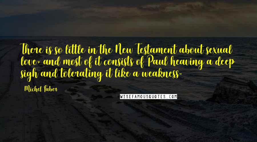 Michel Faber Quotes: There is so little in the New Testament about sexual love, and most of it consists of Paul heaving a deep sigh and tolerating it like a weakness.