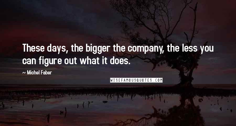 Michel Faber Quotes: These days, the bigger the company, the less you can figure out what it does.