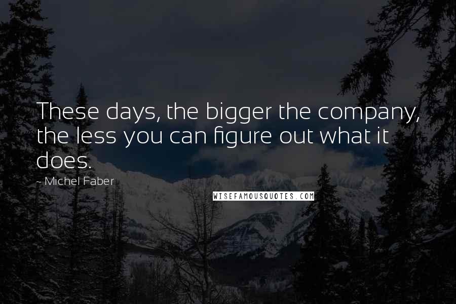 Michel Faber Quotes: These days, the bigger the company, the less you can figure out what it does.