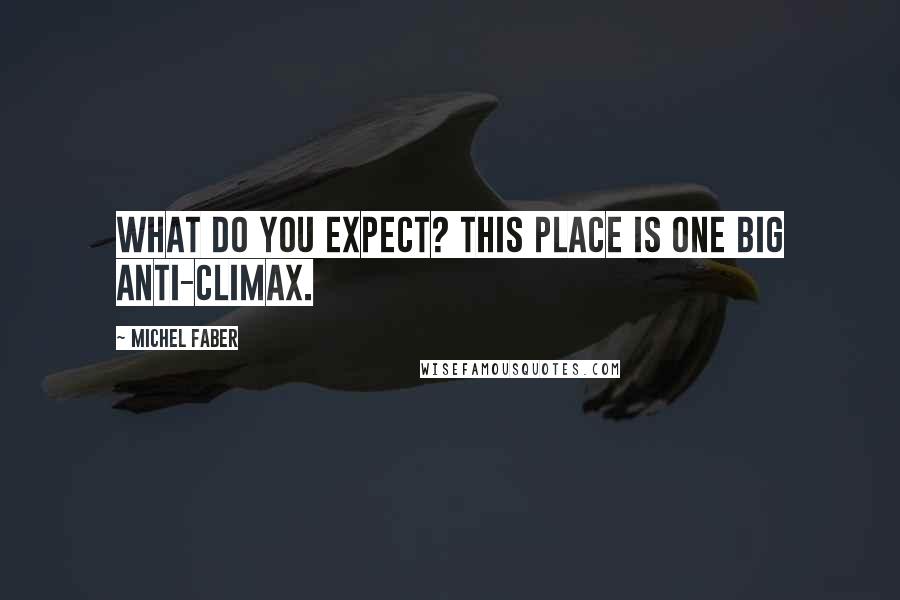 Michel Faber Quotes: What do you expect? This place is one big anti-climax.