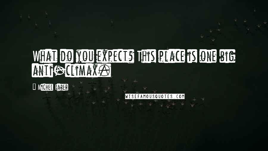 Michel Faber Quotes: What do you expect? This place is one big anti-climax.