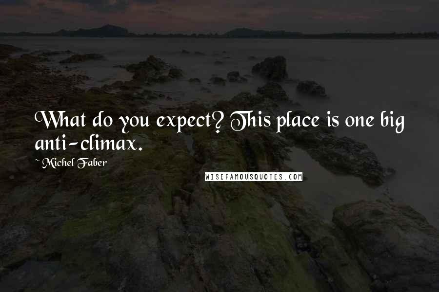 Michel Faber Quotes: What do you expect? This place is one big anti-climax.