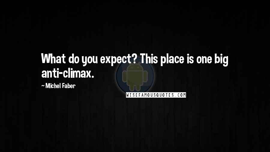 Michel Faber Quotes: What do you expect? This place is one big anti-climax.