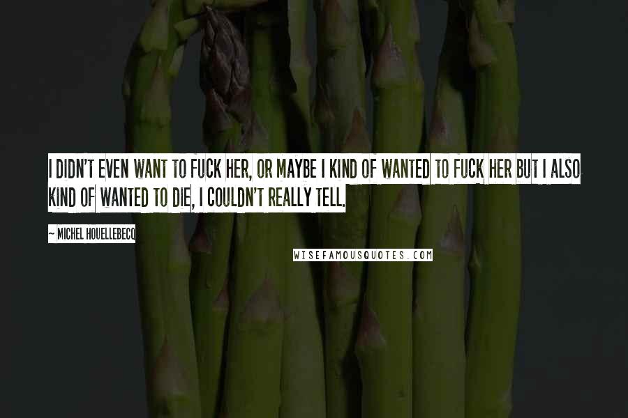 Michel Houellebecq Quotes: I didn't even want to fuck her, or maybe I kind of wanted to fuck her but I also kind of wanted to die, I couldn't really tell.