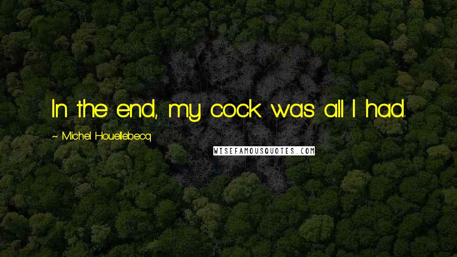 Michel Houellebecq Quotes: In the end, my cock was all I had.