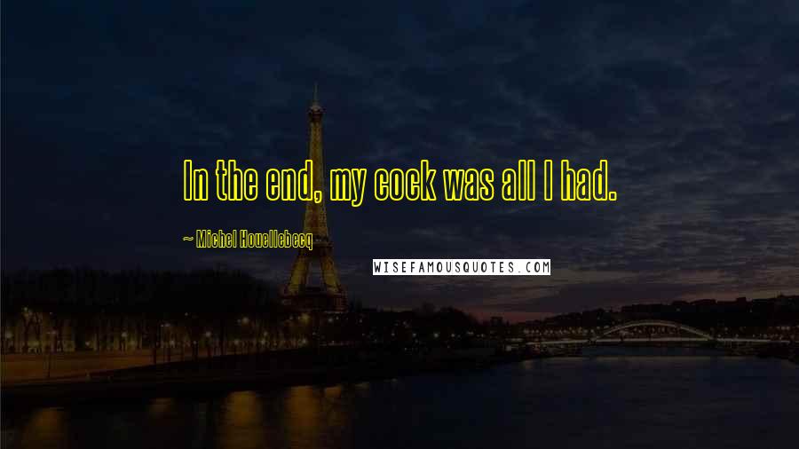 Michel Houellebecq Quotes: In the end, my cock was all I had.