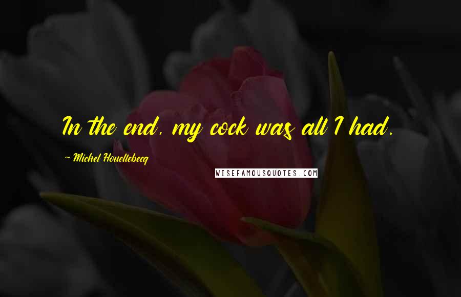 Michel Houellebecq Quotes: In the end, my cock was all I had.