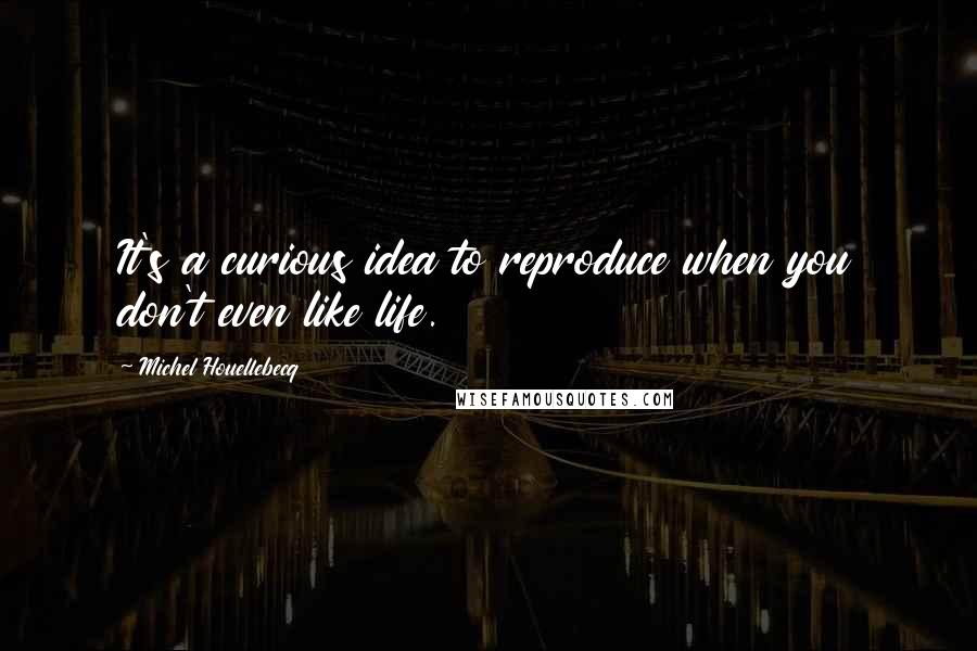 Michel Houellebecq Quotes: It's a curious idea to reproduce when you don't even like life.