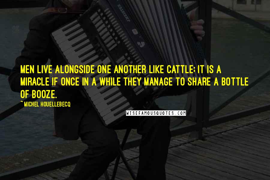 Michel Houellebecq Quotes: Men live alongside one another like cattle; it is a miracle if once in a while they manage to share a bottle of booze.