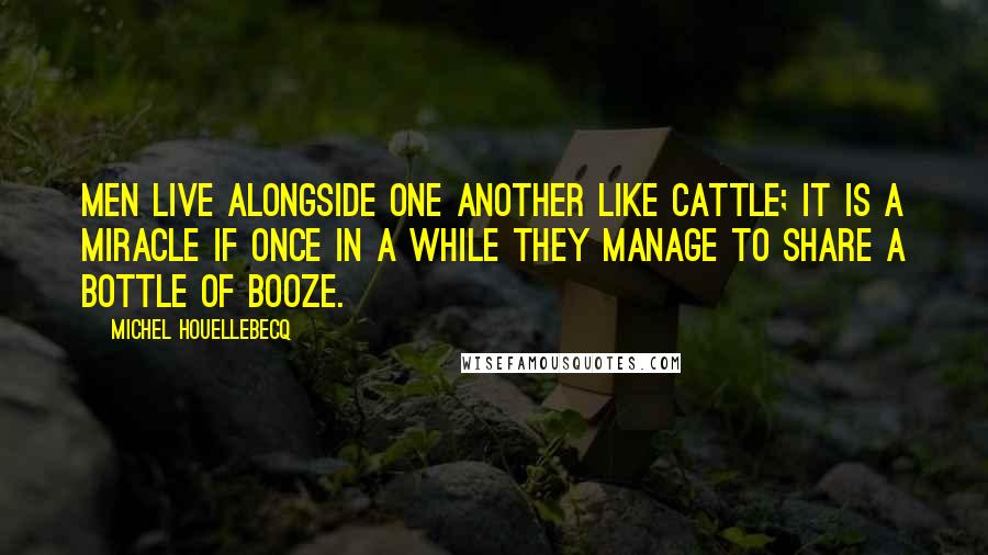 Michel Houellebecq Quotes: Men live alongside one another like cattle; it is a miracle if once in a while they manage to share a bottle of booze.