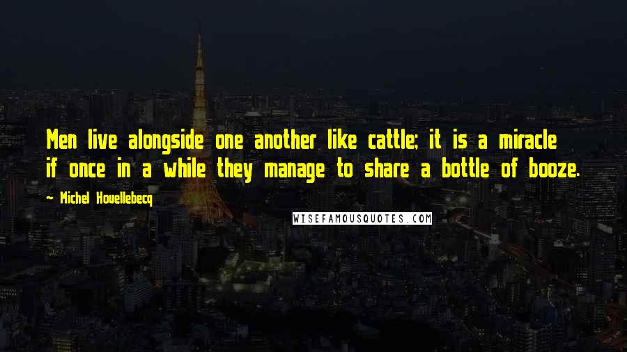 Michel Houellebecq Quotes: Men live alongside one another like cattle; it is a miracle if once in a while they manage to share a bottle of booze.