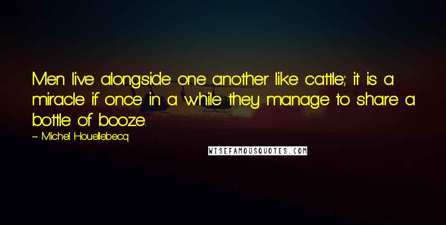 Michel Houellebecq Quotes: Men live alongside one another like cattle; it is a miracle if once in a while they manage to share a bottle of booze.