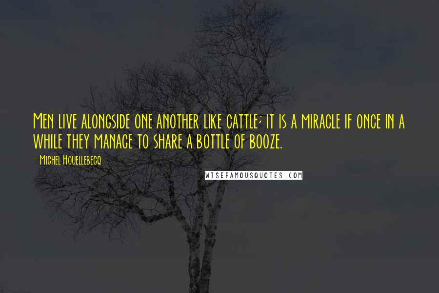 Michel Houellebecq Quotes: Men live alongside one another like cattle; it is a miracle if once in a while they manage to share a bottle of booze.