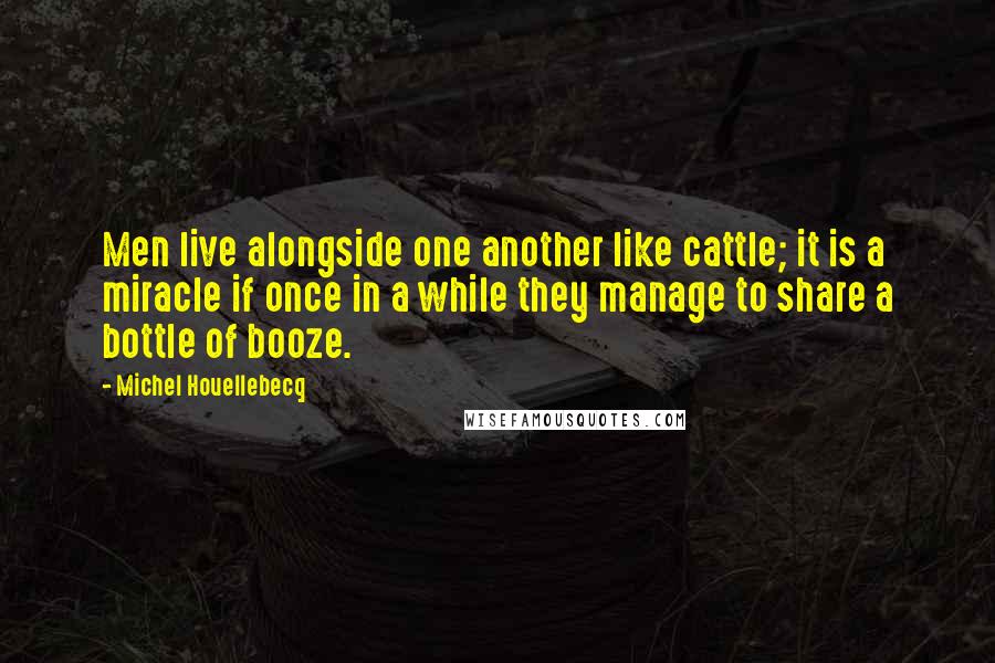 Michel Houellebecq Quotes: Men live alongside one another like cattle; it is a miracle if once in a while they manage to share a bottle of booze.