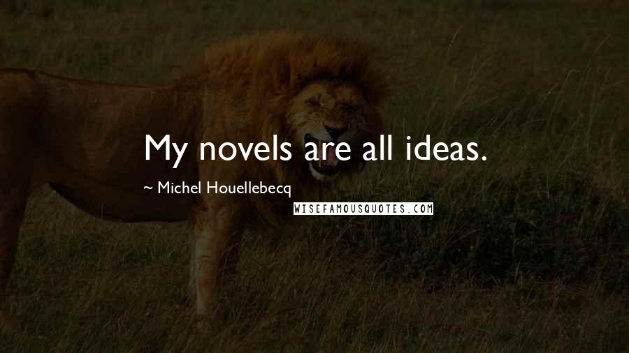 Michel Houellebecq Quotes: My novels are all ideas.