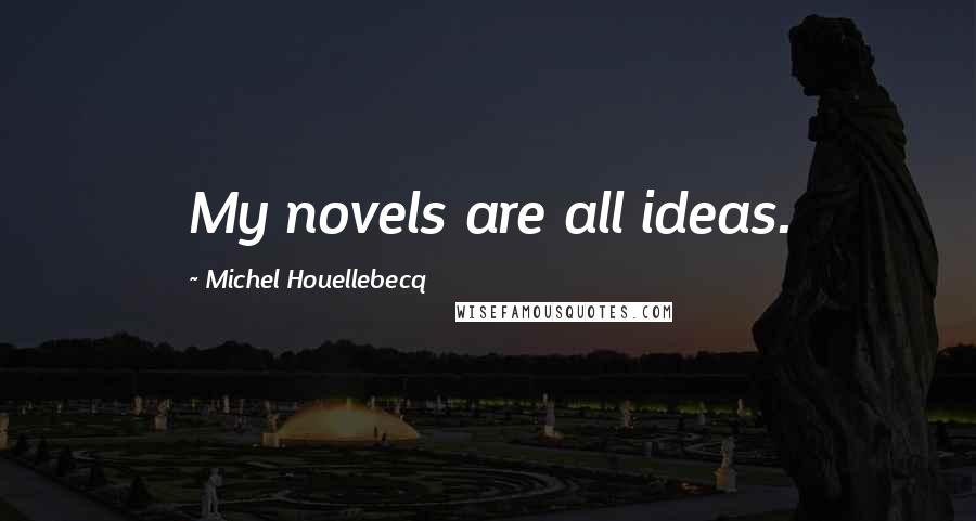 Michel Houellebecq Quotes: My novels are all ideas.