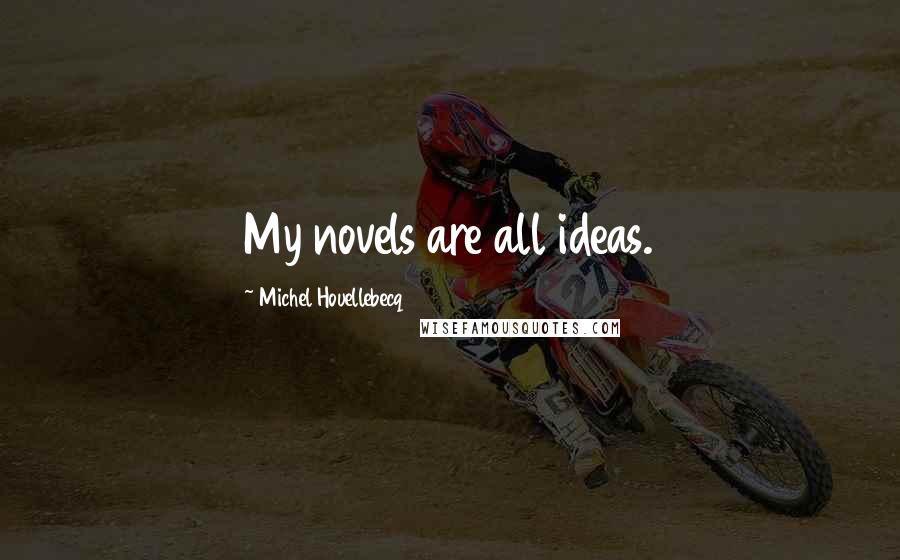 Michel Houellebecq Quotes: My novels are all ideas.