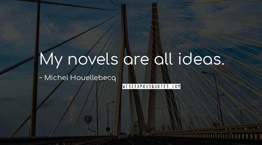 Michel Houellebecq Quotes: My novels are all ideas.