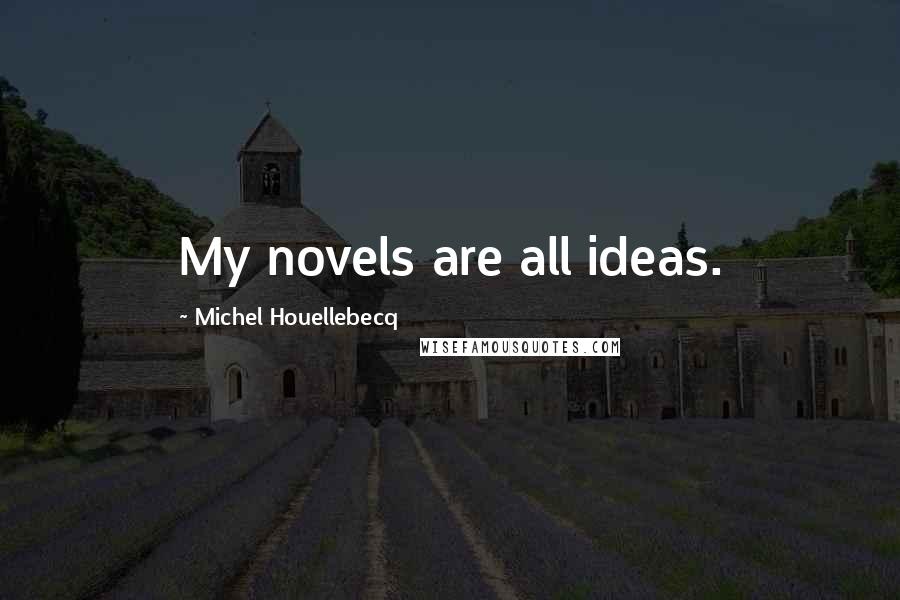 Michel Houellebecq Quotes: My novels are all ideas.