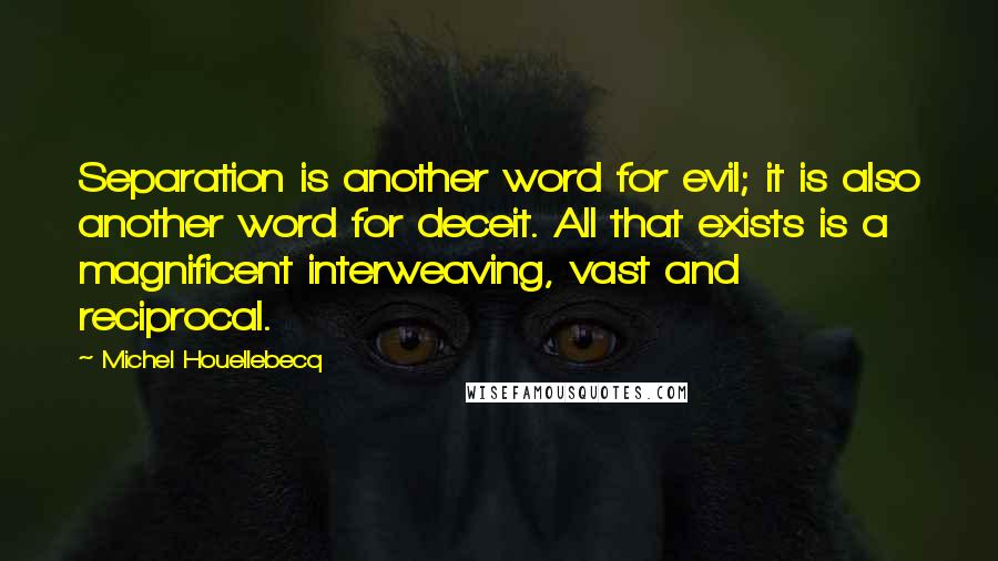 Michel Houellebecq Quotes: Separation is another word for evil; it is also another word for deceit. All that exists is a magnificent interweaving, vast and reciprocal.