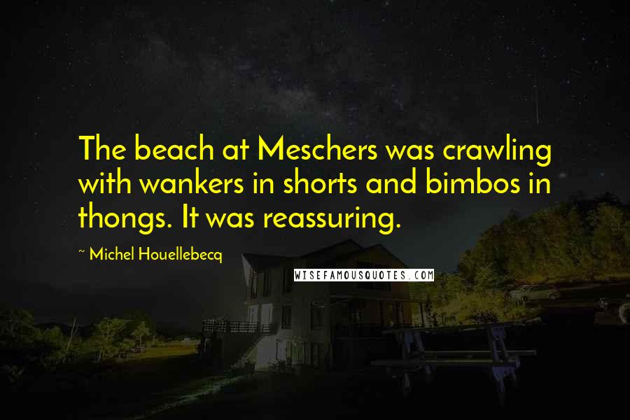 Michel Houellebecq Quotes: The beach at Meschers was crawling with wankers in shorts and bimbos in thongs. It was reassuring.