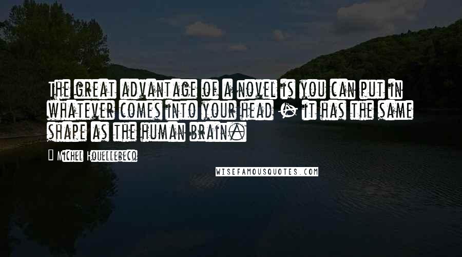 Michel Houellebecq Quotes: The great advantage of a novel is you can put in whatever comes into your head - it has the same shape as the human brain.