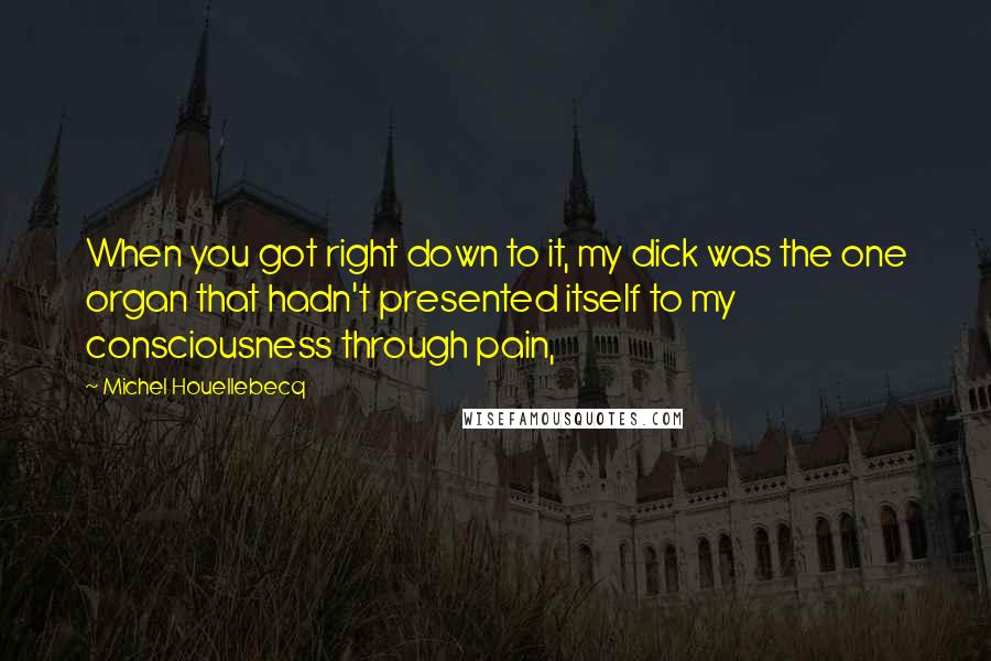 Michel Houellebecq Quotes: When you got right down to it, my dick was the one organ that hadn't presented itself to my consciousness through pain,