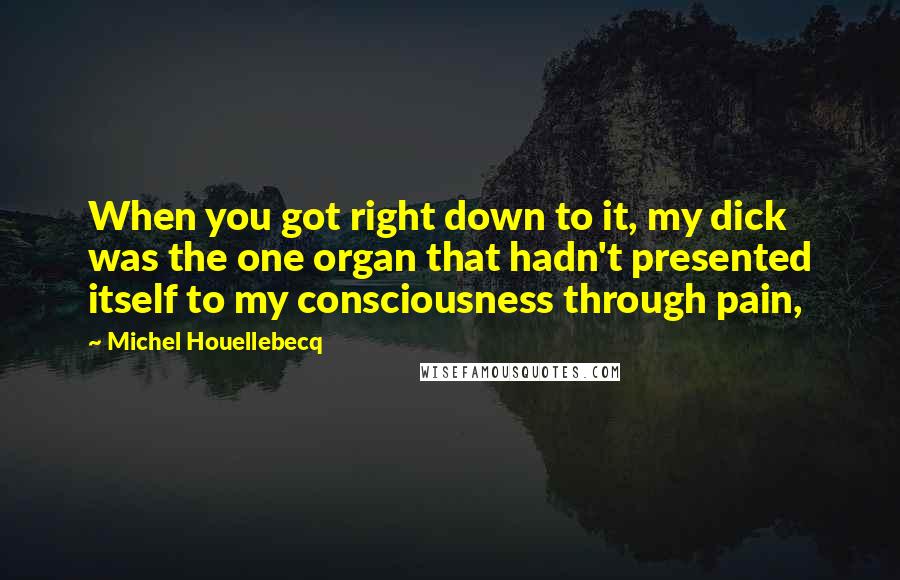 Michel Houellebecq Quotes: When you got right down to it, my dick was the one organ that hadn't presented itself to my consciousness through pain,