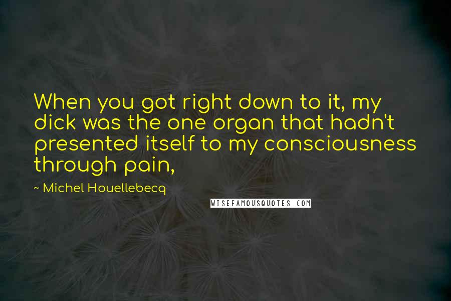 Michel Houellebecq Quotes: When you got right down to it, my dick was the one organ that hadn't presented itself to my consciousness through pain,