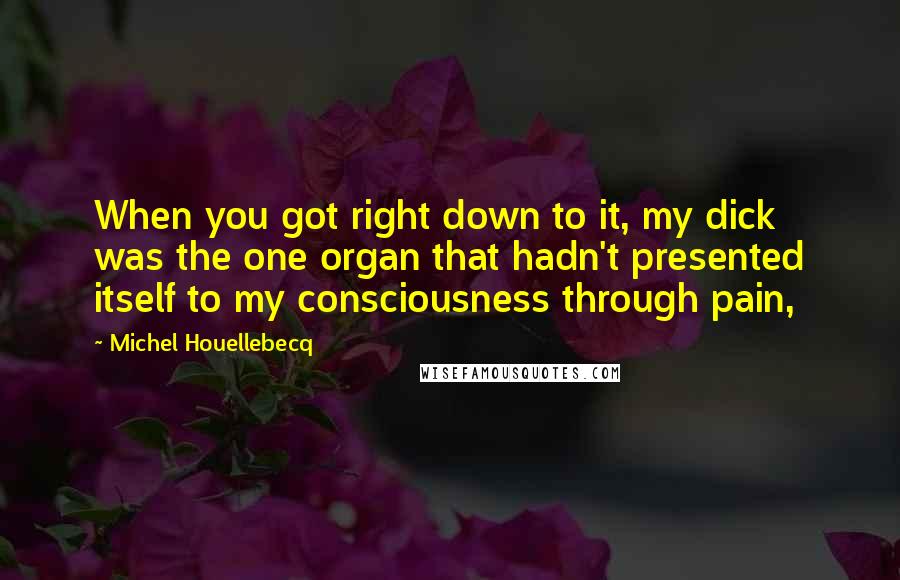 Michel Houellebecq Quotes: When you got right down to it, my dick was the one organ that hadn't presented itself to my consciousness through pain,