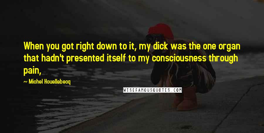 Michel Houellebecq Quotes: When you got right down to it, my dick was the one organ that hadn't presented itself to my consciousness through pain,