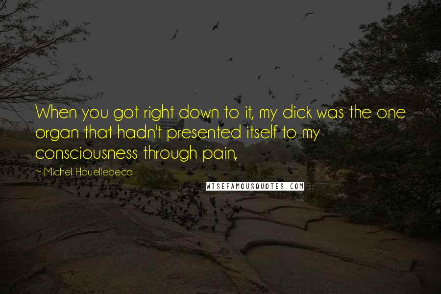 Michel Houellebecq Quotes: When you got right down to it, my dick was the one organ that hadn't presented itself to my consciousness through pain,