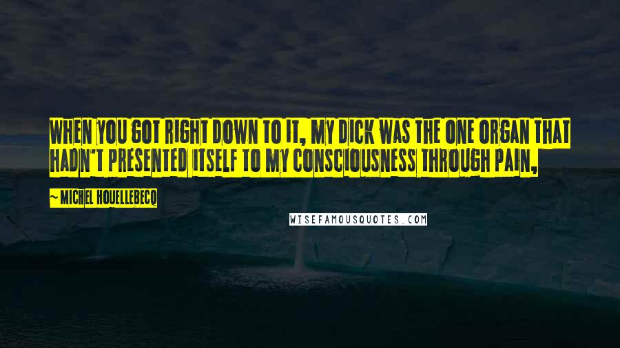 Michel Houellebecq Quotes: When you got right down to it, my dick was the one organ that hadn't presented itself to my consciousness through pain,