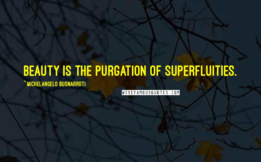 Michelangelo Buonarroti Quotes: Beauty is the purgation of superfluities.