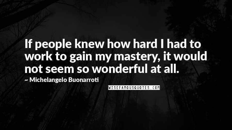 Michelangelo Buonarroti Quotes: If people knew how hard I had to work to gain my mastery, it would not seem so wonderful at all.