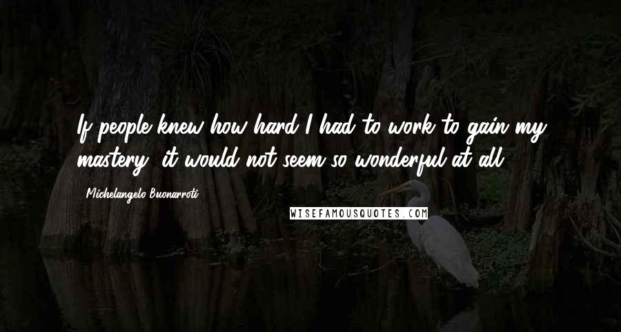 Michelangelo Buonarroti Quotes: If people knew how hard I had to work to gain my mastery, it would not seem so wonderful at all.