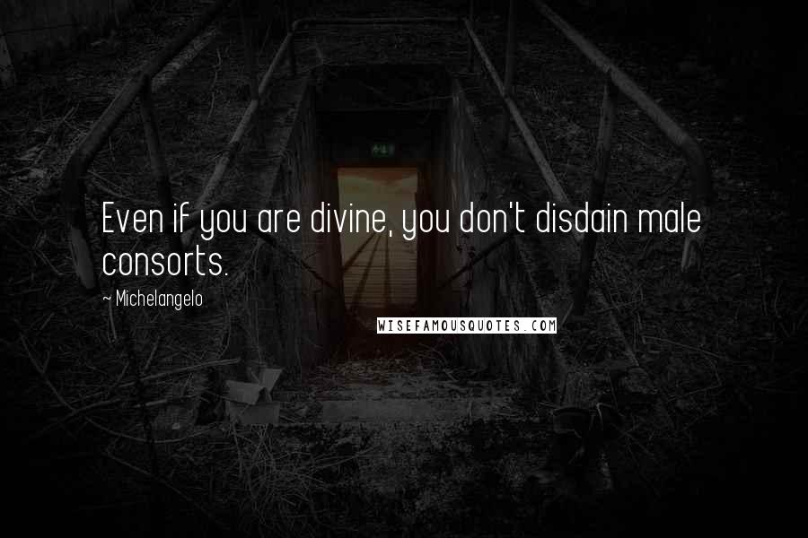 Michelangelo Quotes: Even if you are divine, you don't disdain male consorts.