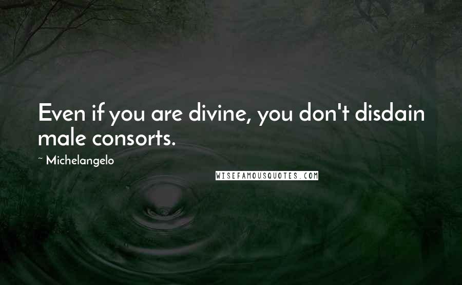 Michelangelo Quotes: Even if you are divine, you don't disdain male consorts.