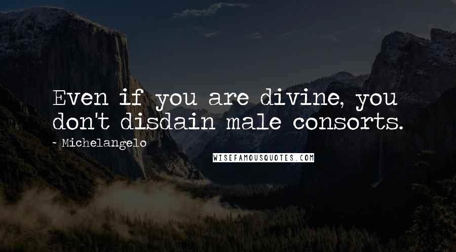 Michelangelo Quotes: Even if you are divine, you don't disdain male consorts.