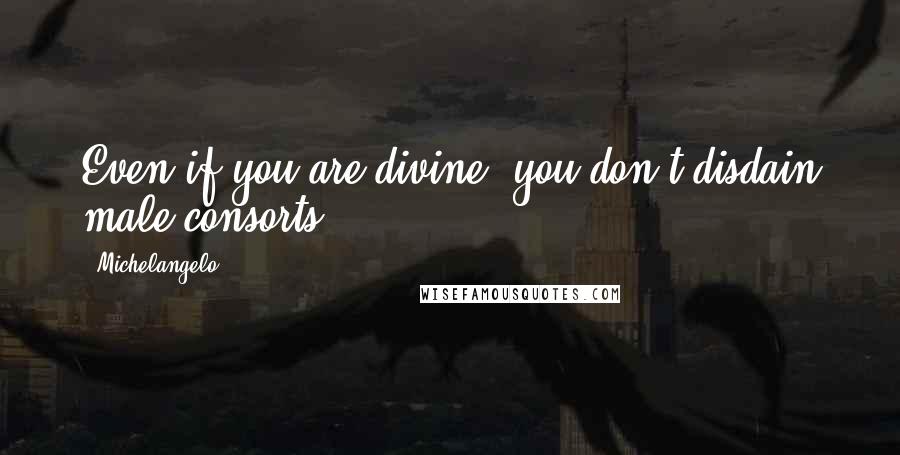 Michelangelo Quotes: Even if you are divine, you don't disdain male consorts.