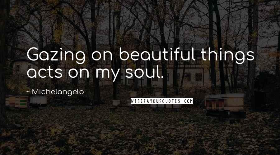 Michelangelo Quotes: Gazing on beautiful things acts on my soul.