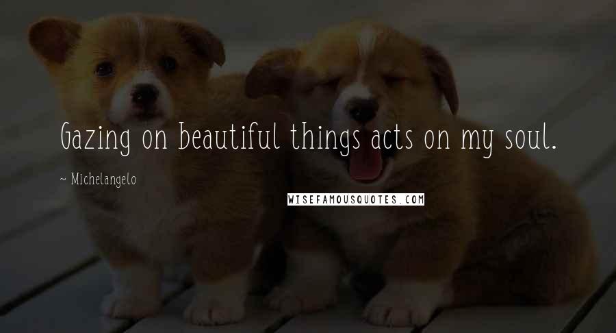 Michelangelo Quotes: Gazing on beautiful things acts on my soul.