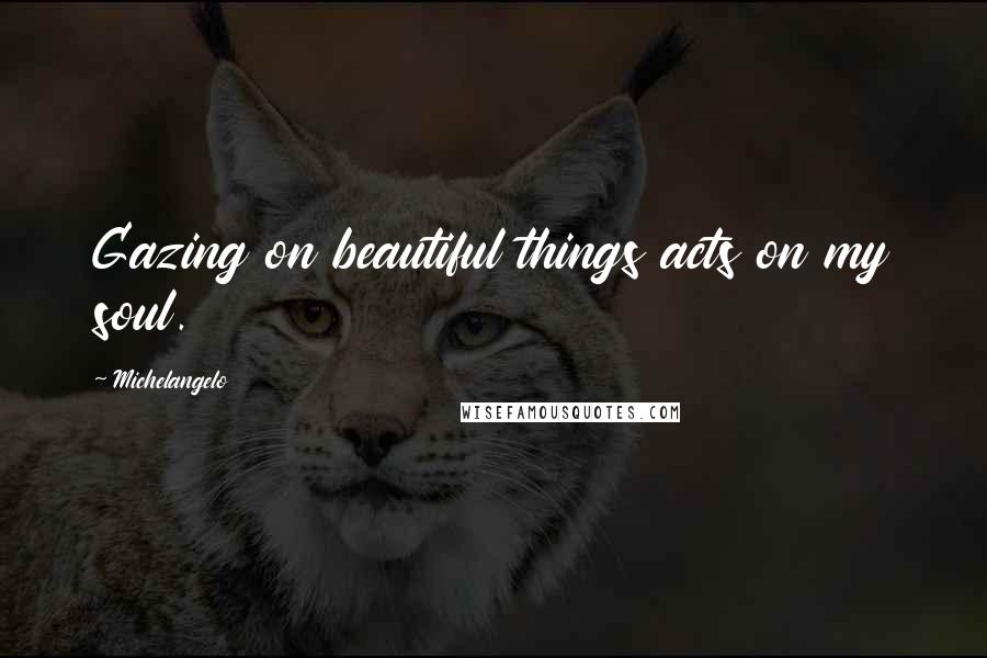Michelangelo Quotes: Gazing on beautiful things acts on my soul.