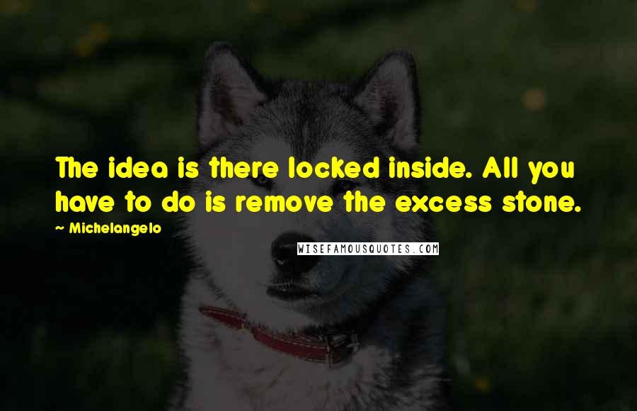 Michelangelo Quotes: The idea is there locked inside. All you have to do is remove the excess stone.