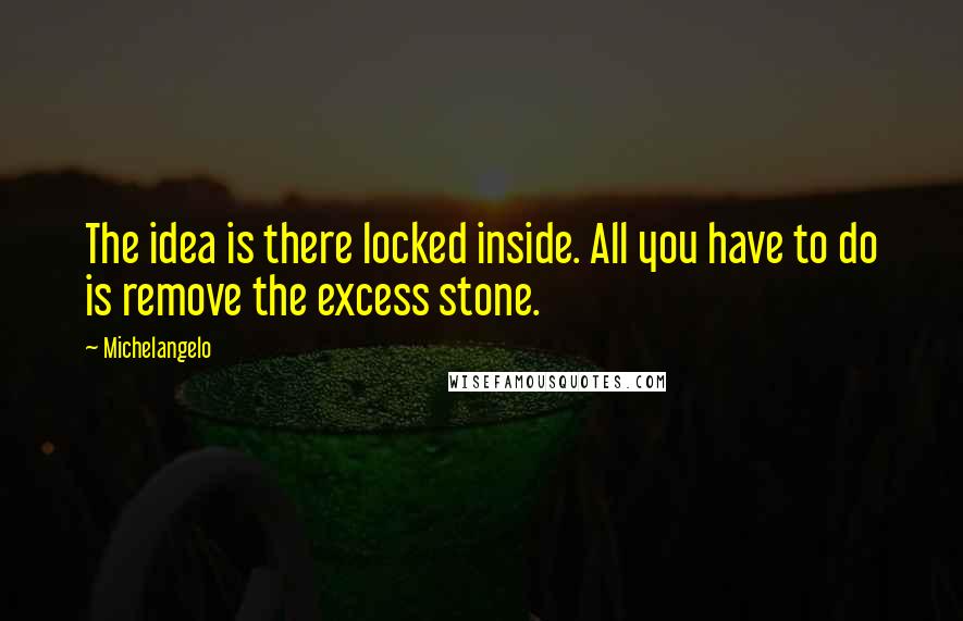 Michelangelo Quotes: The idea is there locked inside. All you have to do is remove the excess stone.