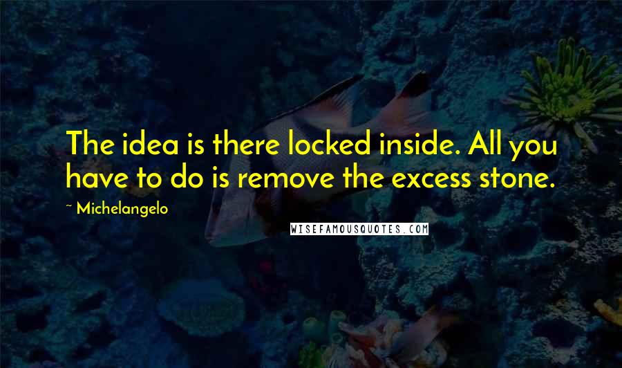 Michelangelo Quotes: The idea is there locked inside. All you have to do is remove the excess stone.