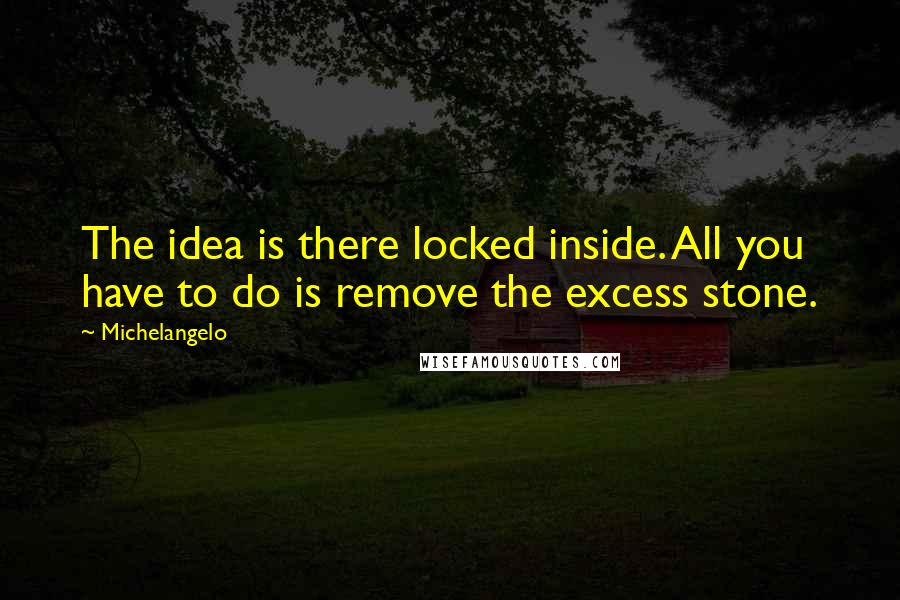 Michelangelo Quotes: The idea is there locked inside. All you have to do is remove the excess stone.