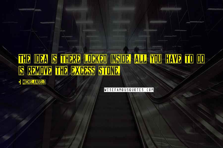 Michelangelo Quotes: The idea is there locked inside. All you have to do is remove the excess stone.